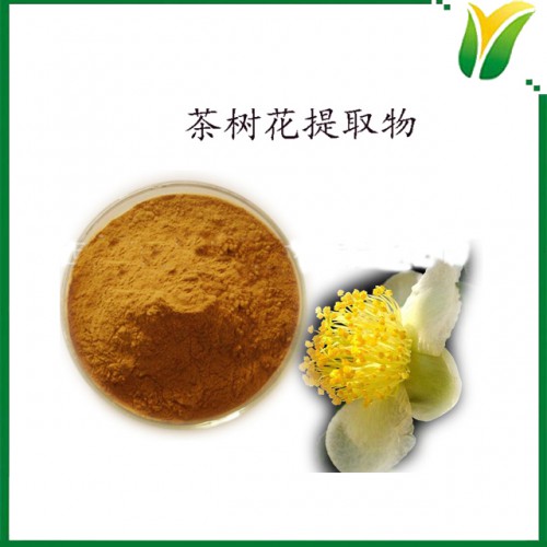 茶树花提取物5:1 植物提取物