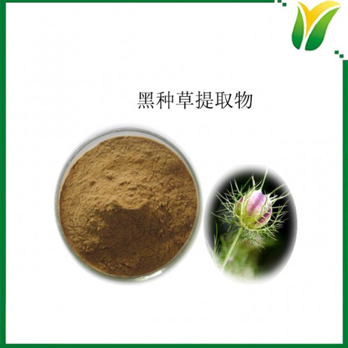 黑种草提取物10：1 植物提取物