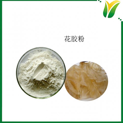 花胶粉 花胶肚粉 鱼鳔粉