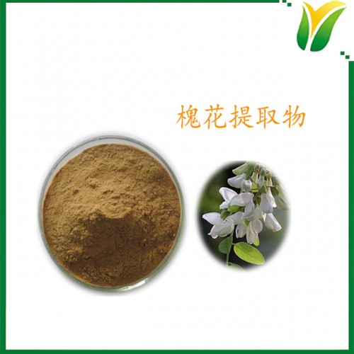 干鲜槐花提取物 10:1 槐花提取物 植物提取物