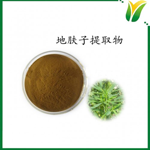 地肤子提取物5:1 扫帚苗提取物 地葵植物提取物