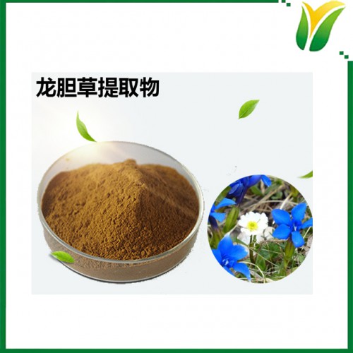 龙胆提取物 龙胆苦甙5% 龙胆草提取物