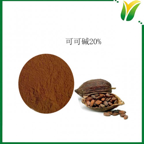可可提取物 可可碱20% 植物提取物