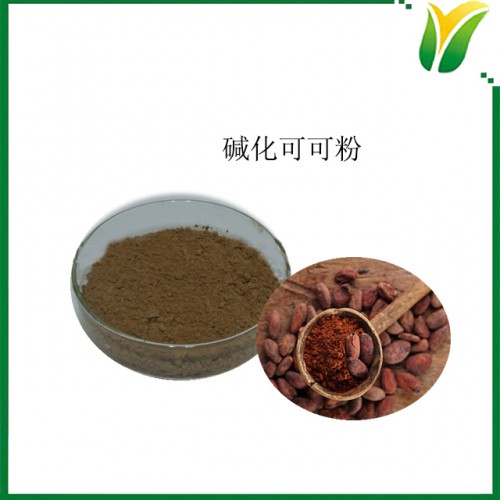 碱化可可粉 可可粉现货 植物提取物