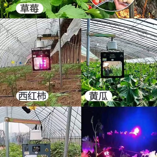 补光灯植物激光红皎阳激光大棚植物补光灯方案C101M202