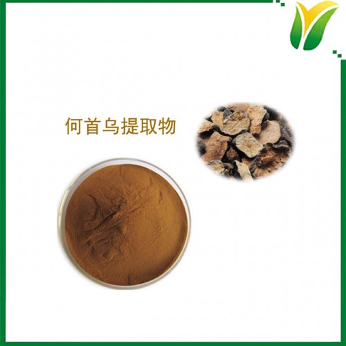 何首乌提取物5：1  比例萃取植物提取物