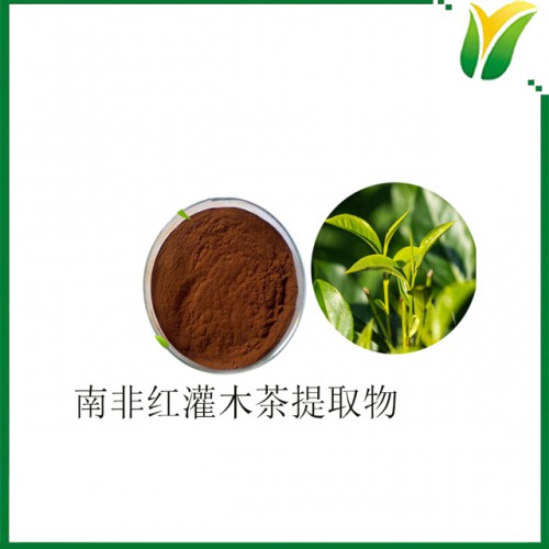 南非红灌木茶提取物 南非如意宝茶