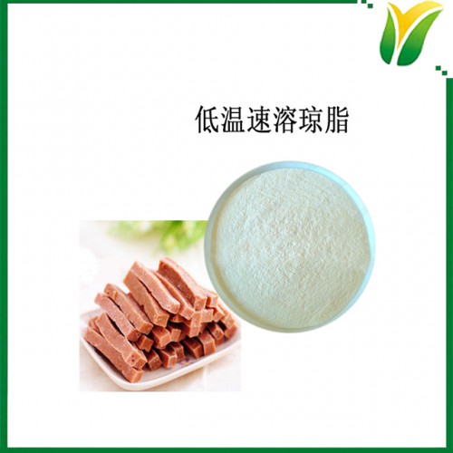 低温速SU溶琼脂 琼脂粉 低温琼脂粉