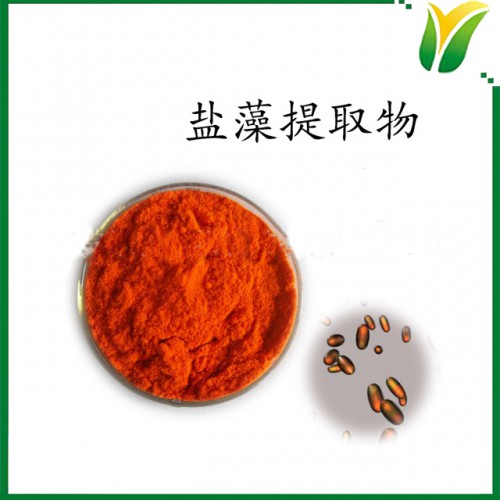 盐藻提取物 β胡萝卜素1% 杜氏藻盐藻 植物提取物