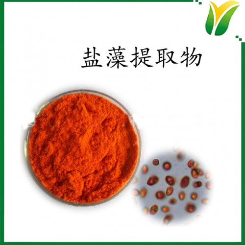 盐藻提取物 β胡萝卜素5% 植物提取物