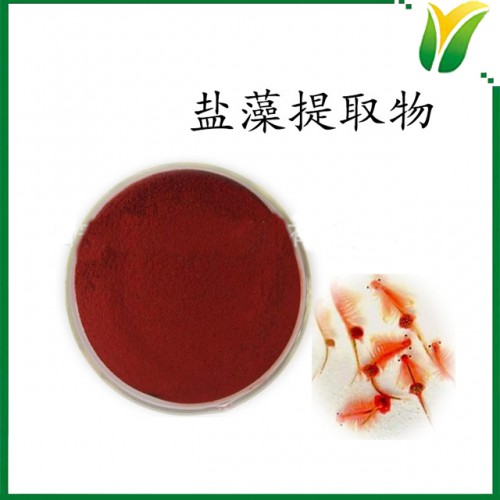 盐藻提取物 β胡萝卜素10% 植物提取物
