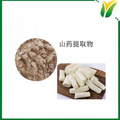 山药提取物 山药萃取粉5:1 植物提取物
