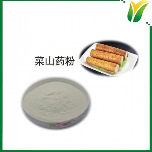 菜山药粉 植物提取物 菜山药纯粉
