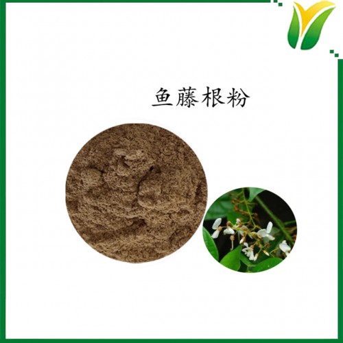 鱼藤根粉 毒鱼藤根粉 生粉