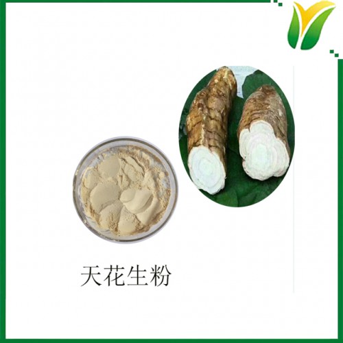 天花粉 栝楼根粉 蒌根生粉