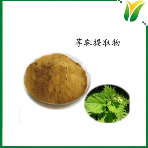 荨麻提取物5:1 蜇人草提取物  植物提取物