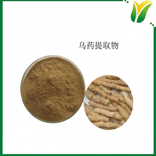 乌药提取物5:1 铜钱柴萃取粉 植物提取物