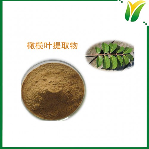 橄榄叶提取物10:1 青果叶萃取物 植物提取物