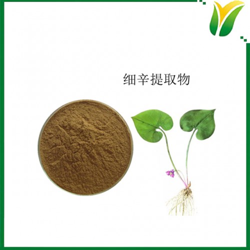 植物提取物 细辛提取物5:1 华细辛萃取粉