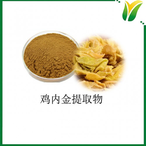 鸡内金提取物 鸡内金粉 10:1 植物提取物