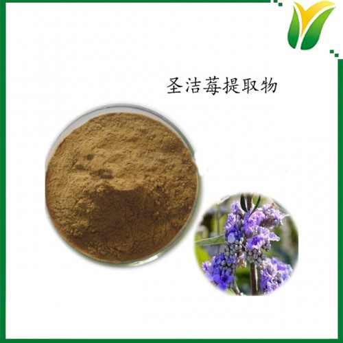 圣洁莓提取物5：1  圣洁莓比例萃取粉植物提取物