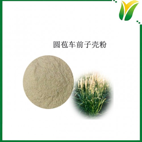 圆苞车前子壳粉85% 洋车前子壳粉
