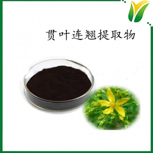 贯叶连翘提取物 金丝桃素0.3% 植物提取物