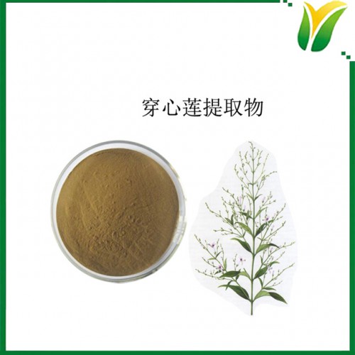 穿心莲提取物10:1 植物提取物