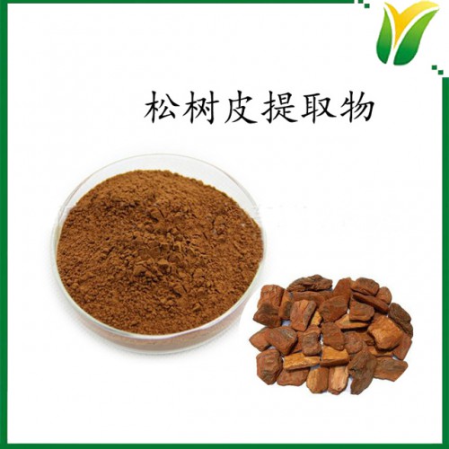 松树皮提取物5：1 植物提取物