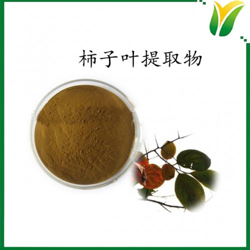 柿子叶提取物10：1 柿叶植物提取物 可水溶