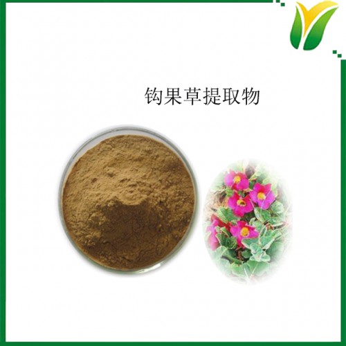 钩果草提取物5:1 植物提取物 钩爪草提取物