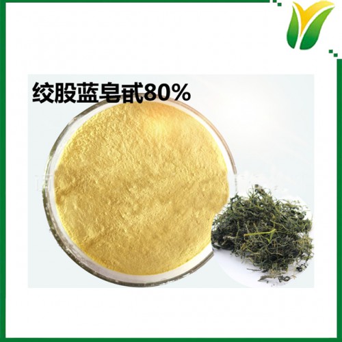 绞股蓝提取物 皂苷80% 植物提取物