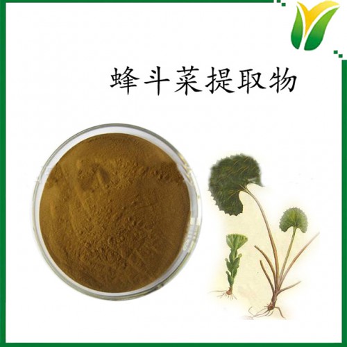 蜂斗菜提取物10：1 蛇头草 植物提取物