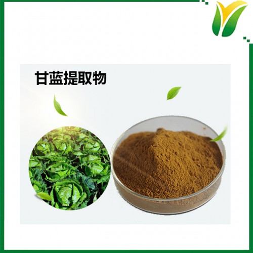甘蓝提取物10：1 包菜比例提取物 植物提取物