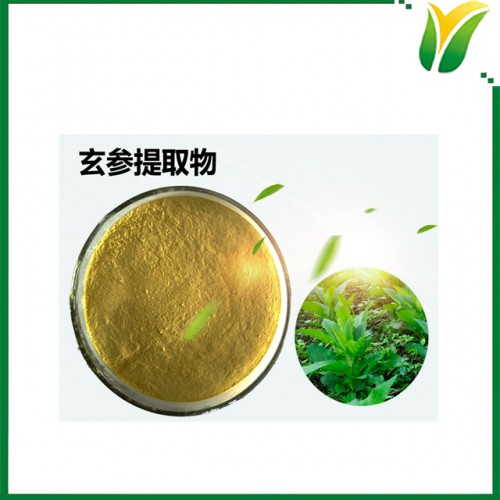 玄参提取物5：1 元参提取物 植物提取物