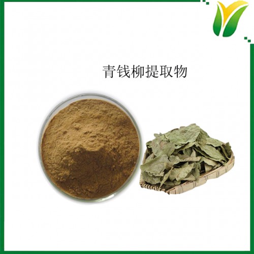 植物提取物 青钱柳提取物 多糖50%