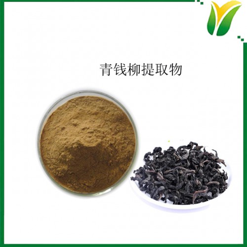 青钱柳提取物5：1 青钱李提取物