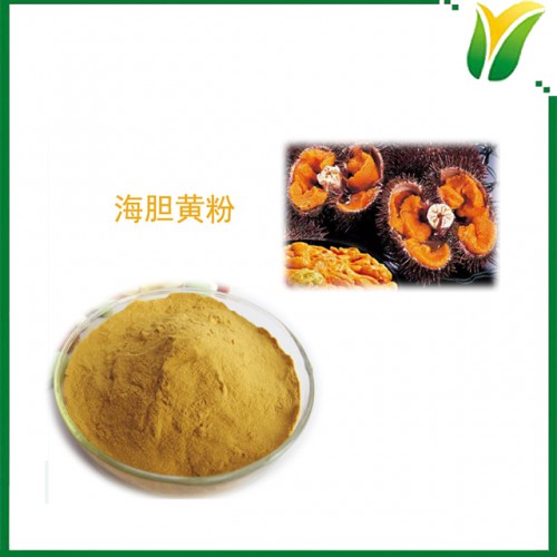 海胆黄粉 紫海胆黄粉 植物提取物