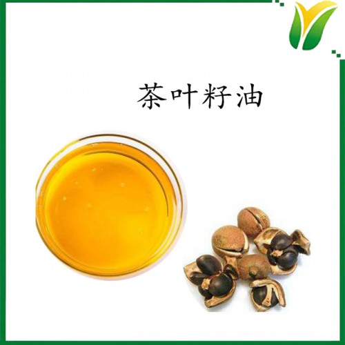 茶树籽油 植物提取物