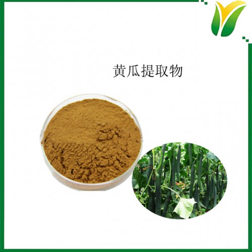 黄瓜提取物10:1  黄瓜提取粉 植物提取物