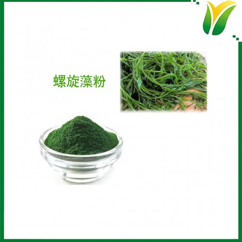 螺旋藻粉 节旋藻原粉 植物提取物