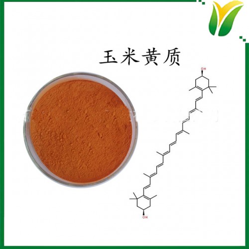 万寿菊提取物 玉米黄质5% 植物提取物