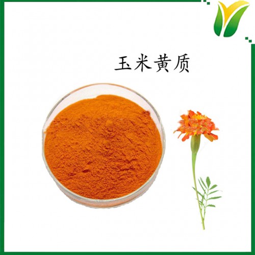 玉米黄质5%微粉 万寿菊提取玉米黄素 植物提取物