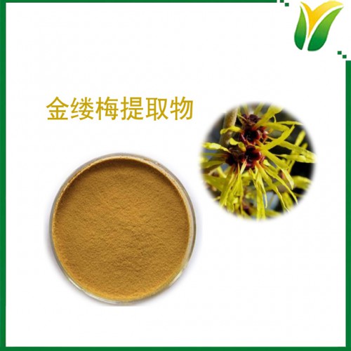 金缕梅提取物10：1 植物提取物 金缕梅萃取粉
