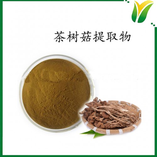 茶树菇提取物 茶树菇多糖30% 植物提取物