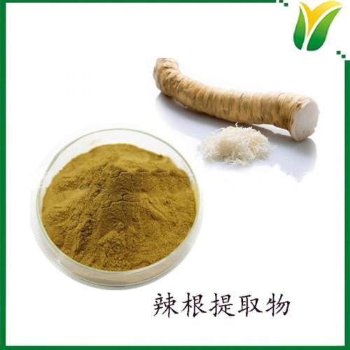 辣根提取物5:1 植物提取物 辣根提取粉