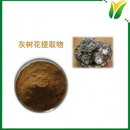 灰树花提取物5：1 植物提取物