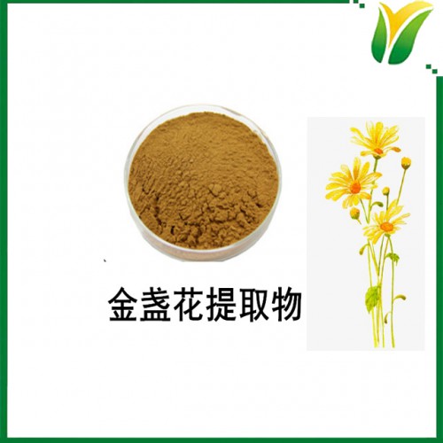 金盏花提取物 10：1  植物提取物
