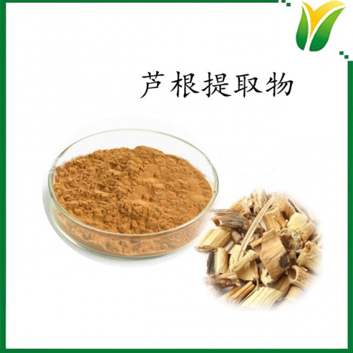 芦根提取物5：1 鲜芦根比例提取粉 植物提取物