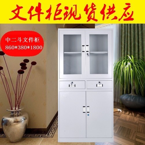 文件柜厂家 档案柜定制 器械柜厂家定做